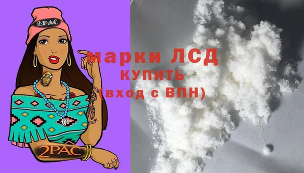 СК Беломорск